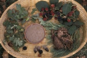 Traditional Foods of California Indians